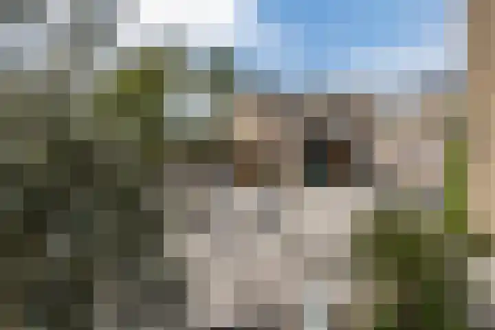 Eikenlaan 16 Rijnsburg thumbnail 38