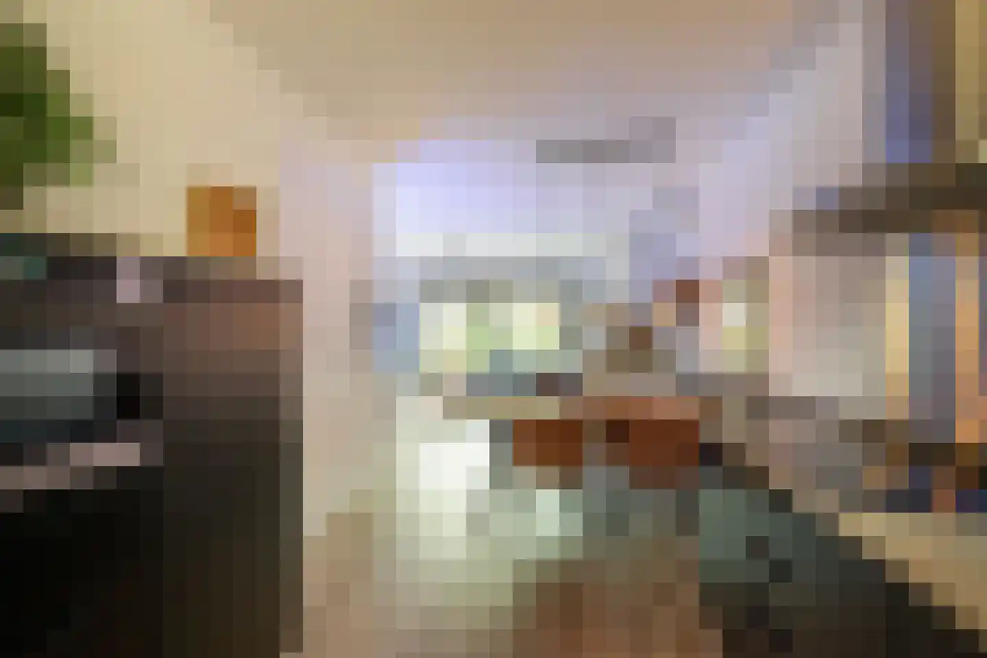 Eikenlaan 16 Sint Philipsland thumbnail 15
