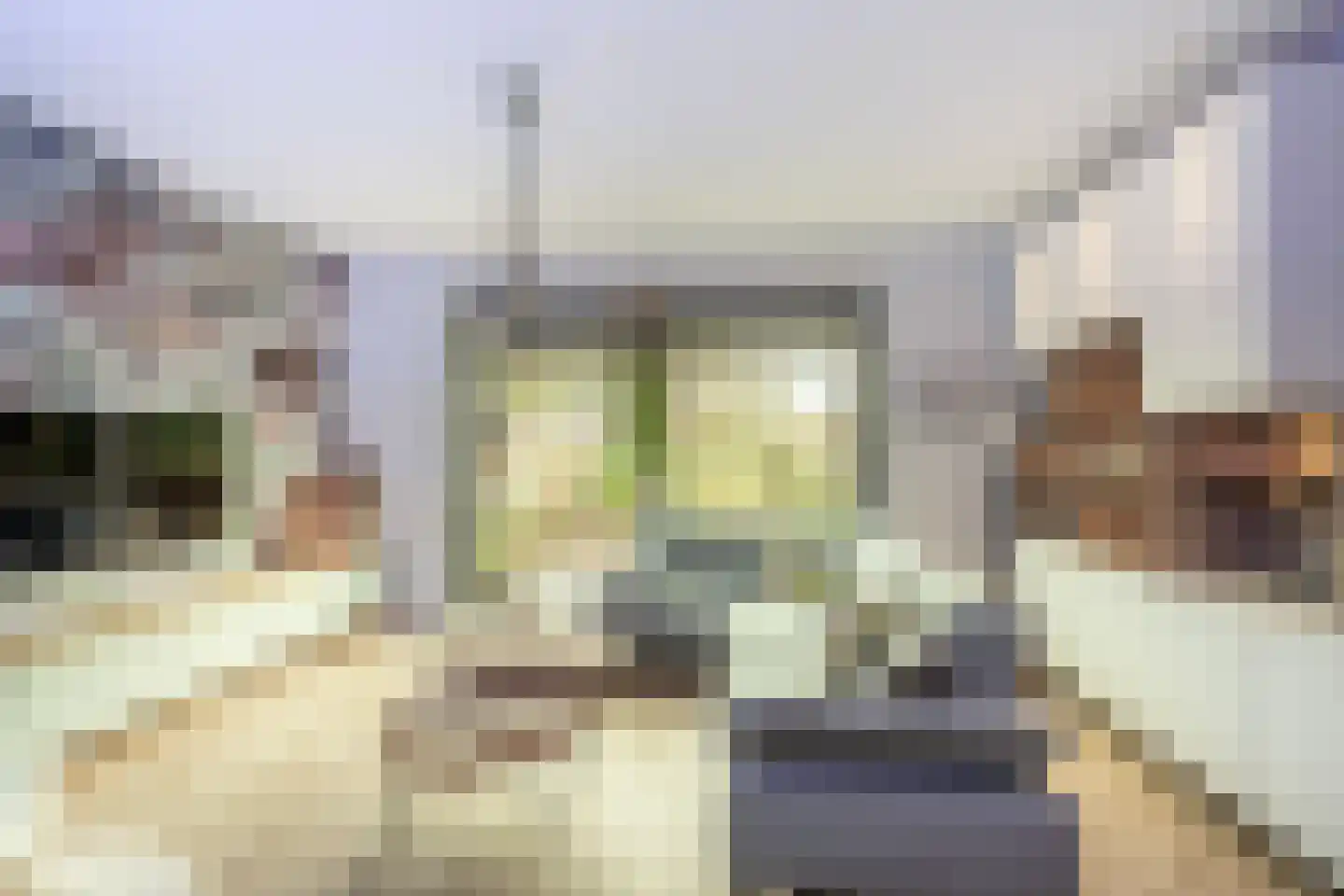 Eikenlaan 16 Sint Philipsland thumbnail 17
