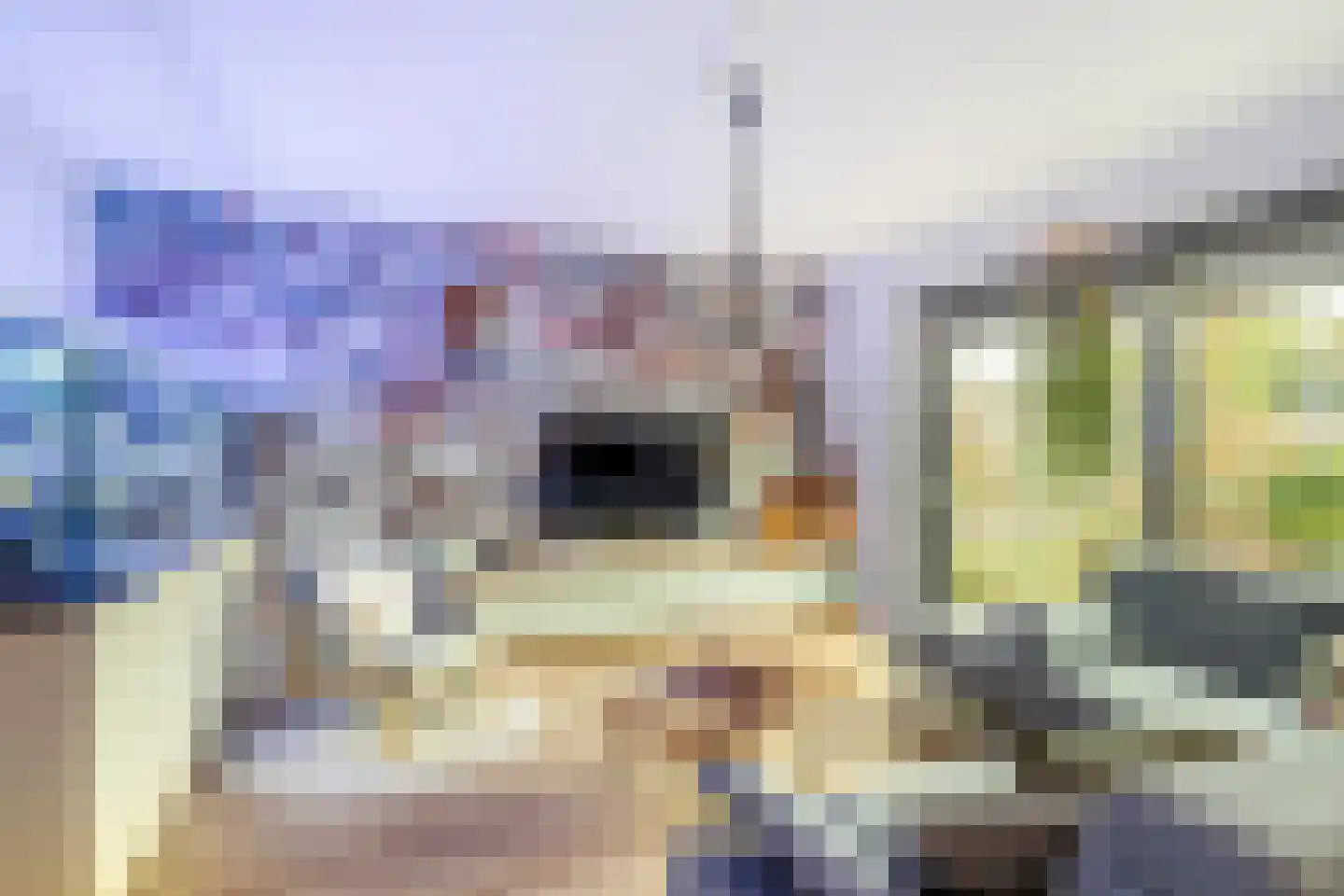 Eikenlaan 16 Sint Philipsland thumbnail 18