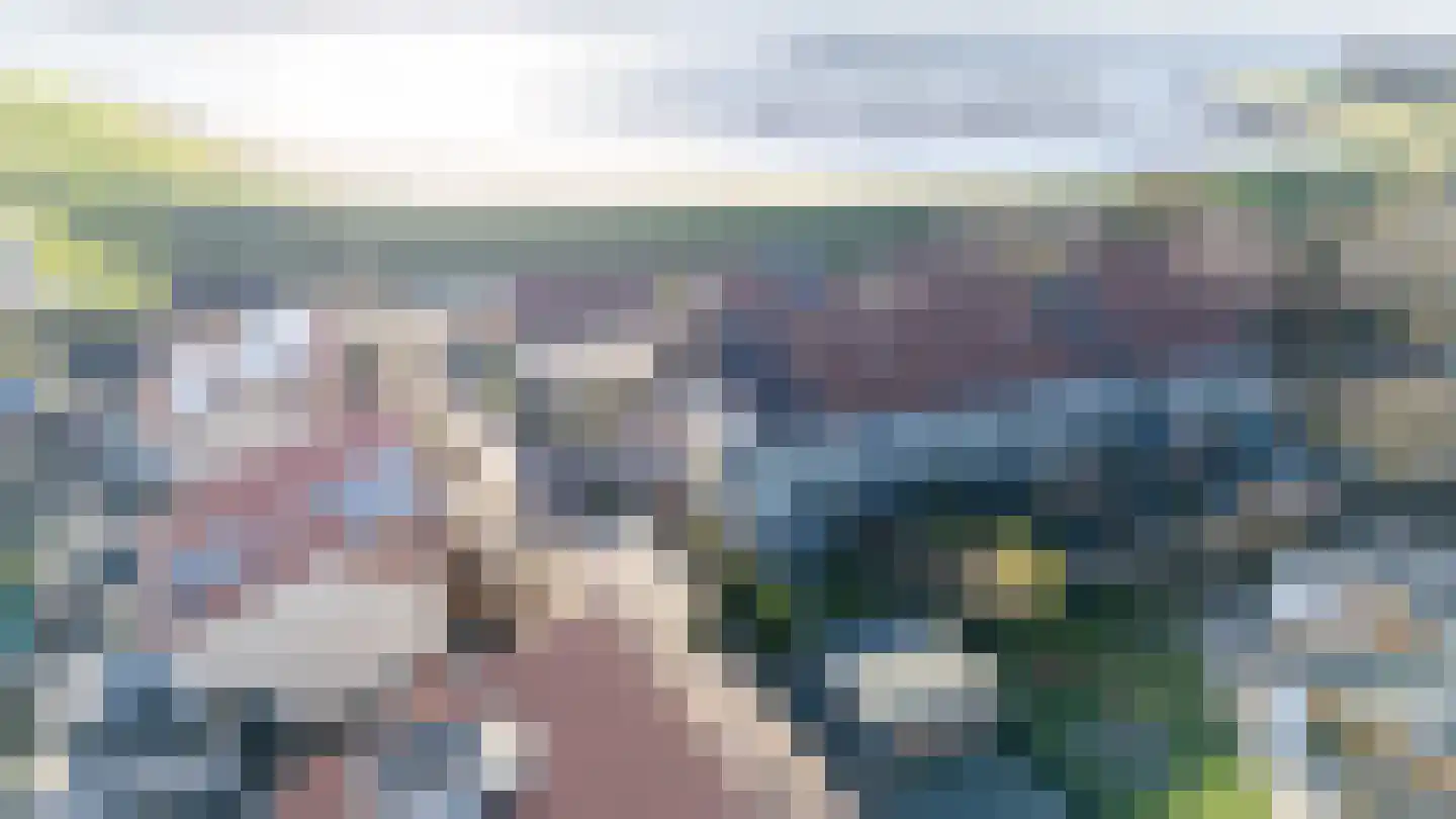 Eikenlaan 16 Sint Philipsland thumbnail 8