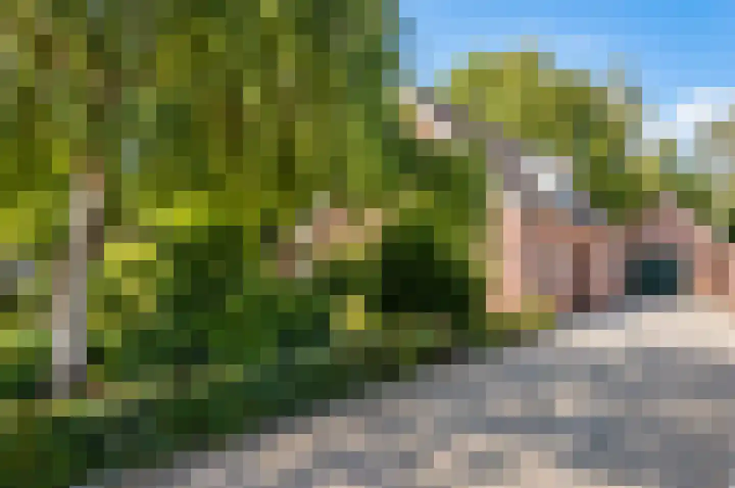 Eikenlaan 17 in Liessel