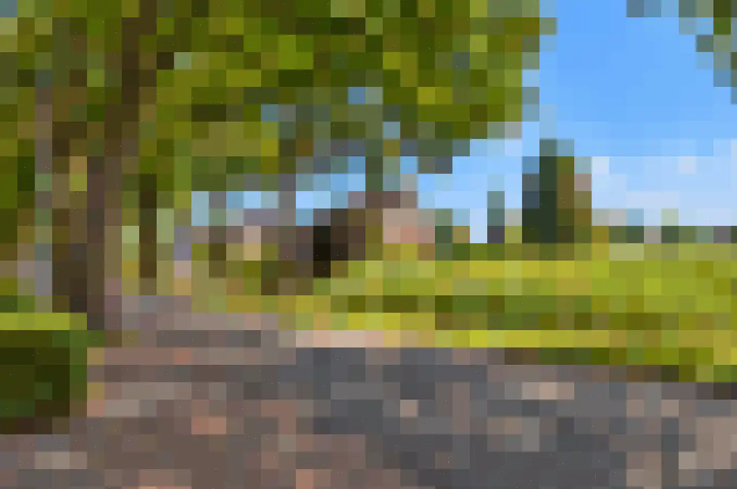 Eikenlaan 17 Liessel thumbnail 30