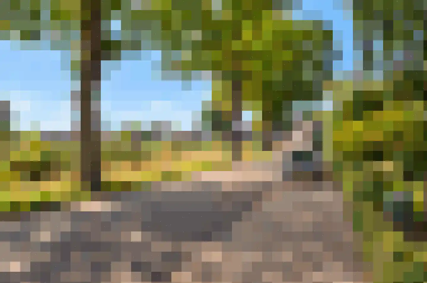 Eikenlaan 17 Liessel thumbnail 31