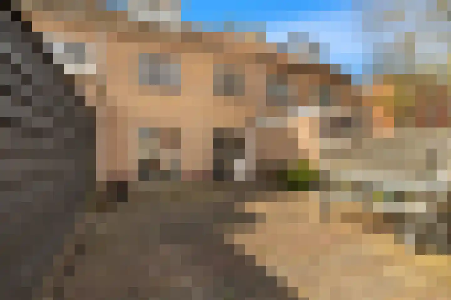 Eikenlaan 18 Alkmaar thumbnail 15