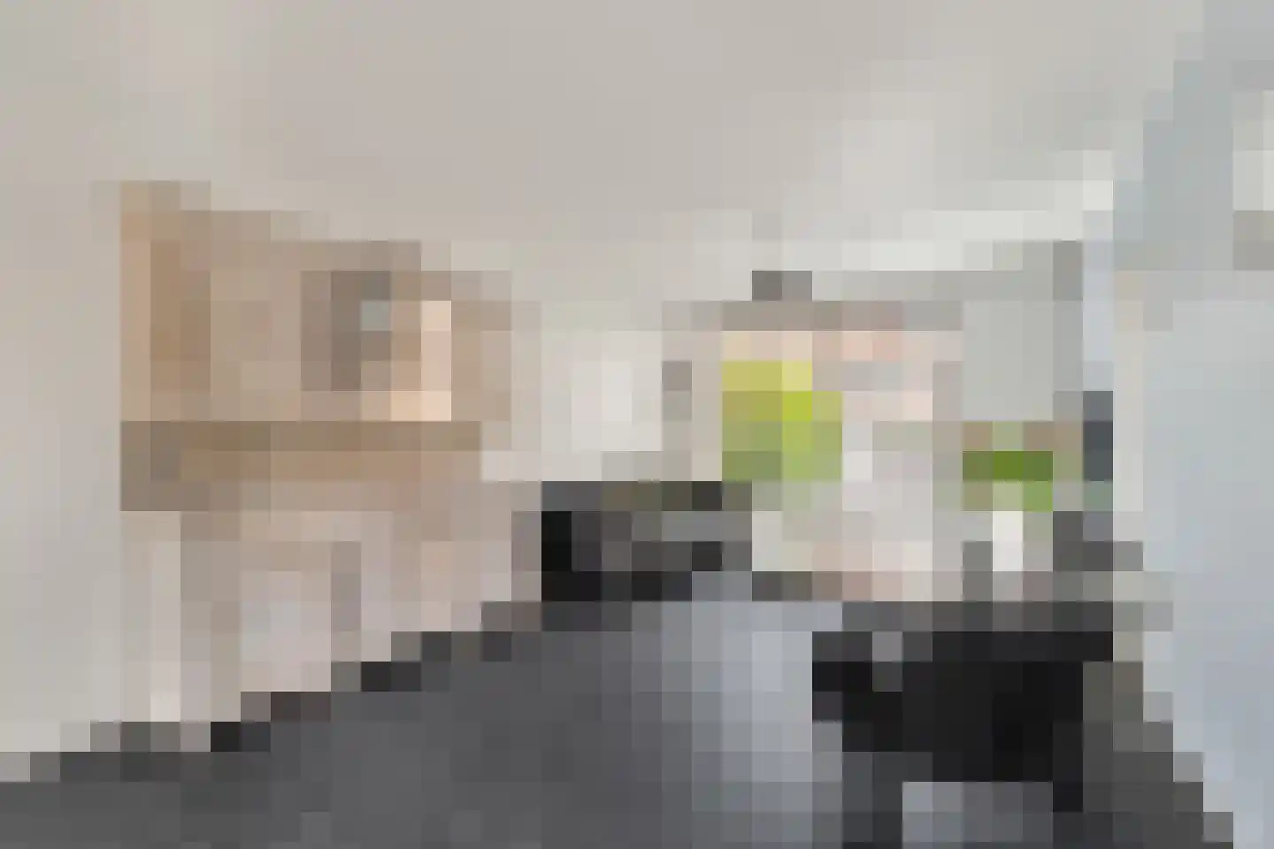 Eikenlaan 18 Alkmaar thumbnail 7