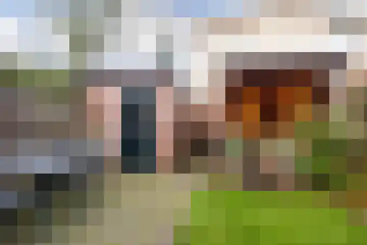 Eikenlaan 18 Ede thumbnail 20