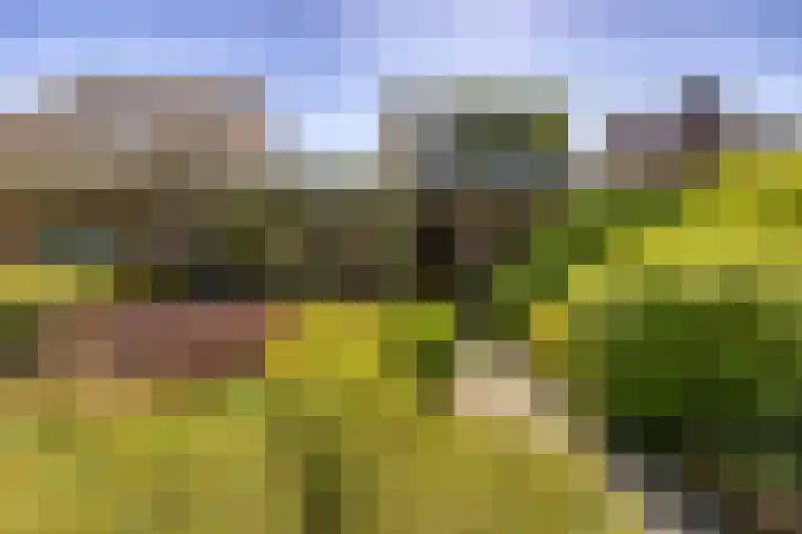 Eikenlaan 19 Bennekom thumbnail 15