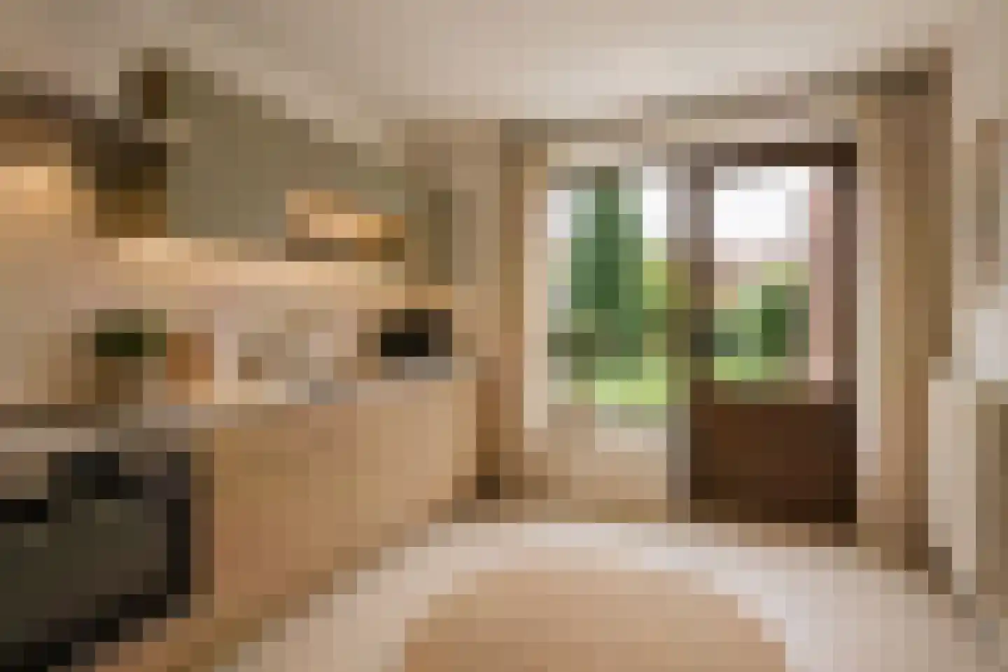 Eikenlaan 19 Oudenbosch thumbnail 10