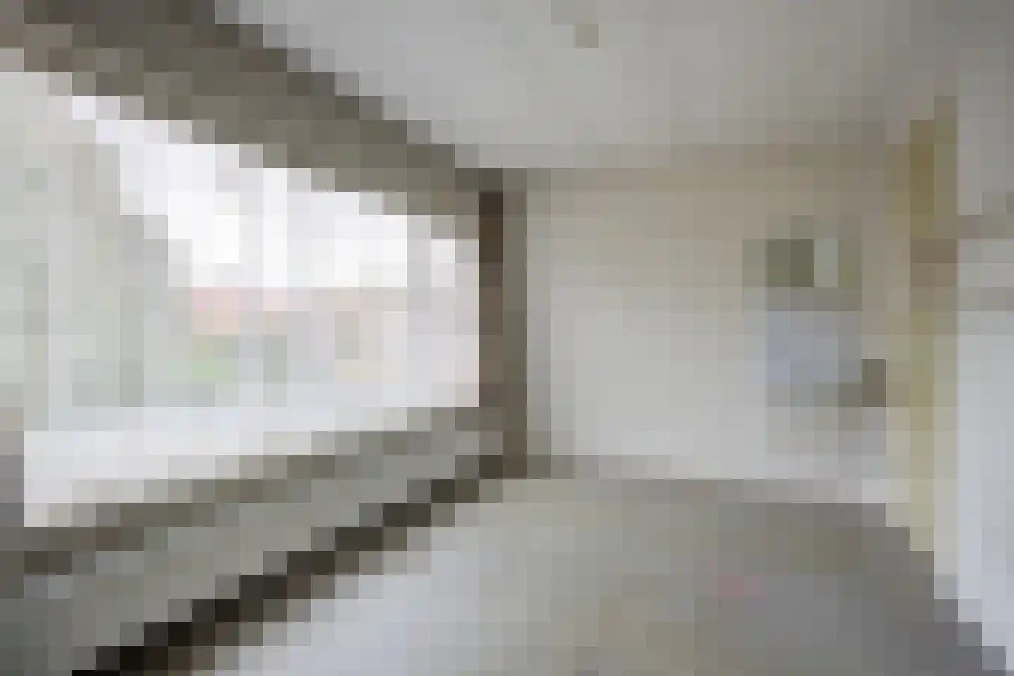Eikenlaan 19 Oudenbosch thumbnail 23