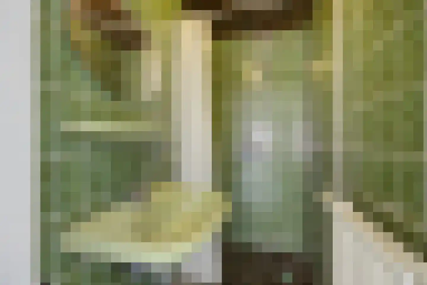 Eikenlaan 19 Oudenbosch thumbnail 32