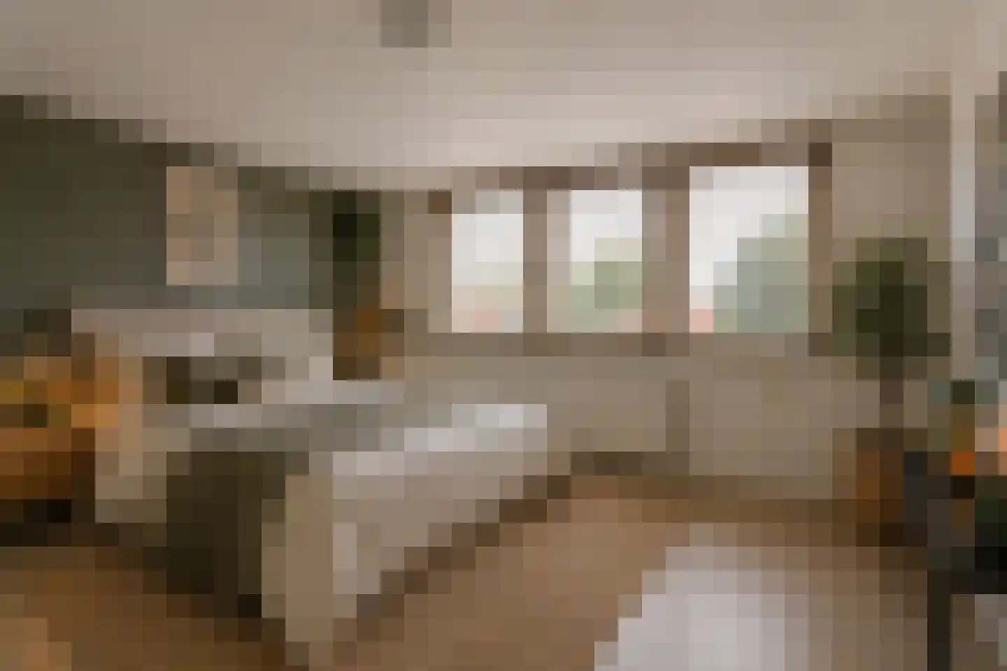 Eikenlaan 19 Oudenbosch thumbnail 36