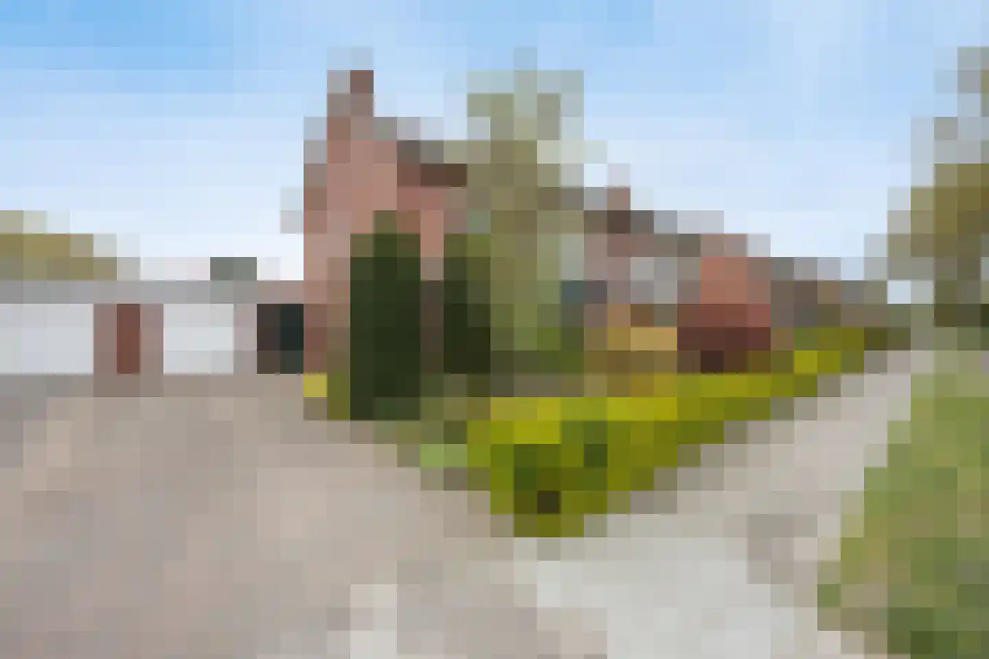 Eikenlaan 19 Oudenbosch thumbnail 46