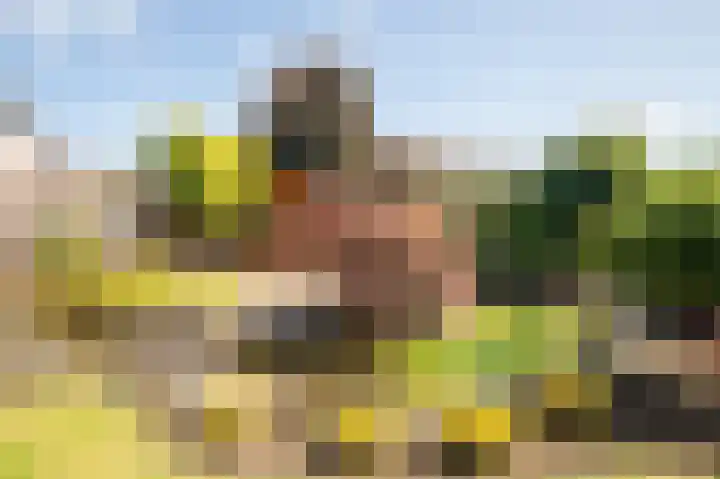 Eikenlaan 19 Sint Odiliënberg thumbnail 24