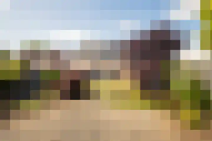 Eikenlaan 19 Sint Odiliënberg thumbnail 25