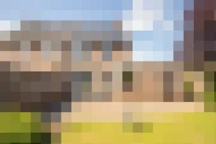 Eikenlaan 19 Sint Odiliënberg thumbnail 26