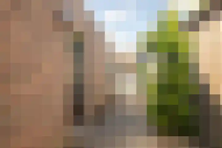 Eikenlaan 19 Sint Odiliënberg thumbnail 29
