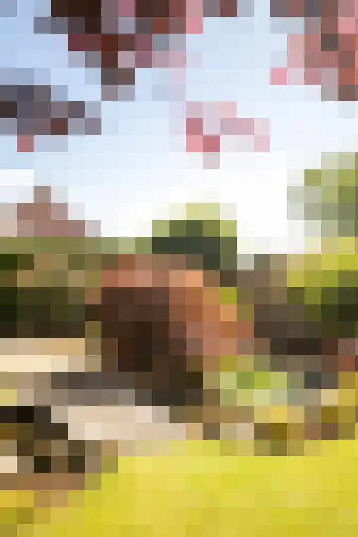 Eikenlaan 19 Sint Odiliënberg thumbnail 31