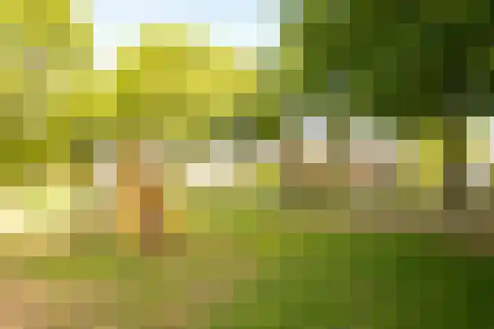Eikenlaan 19 Sint Odiliënberg thumbnail 35