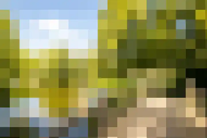 Eikenlaan 19 Sint Odiliënberg thumbnail 36