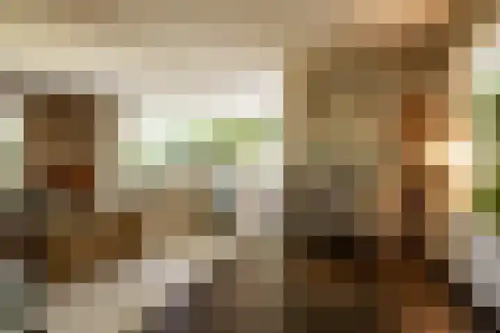 Eikenlaan 2 Apeldoorn thumbnail 10
