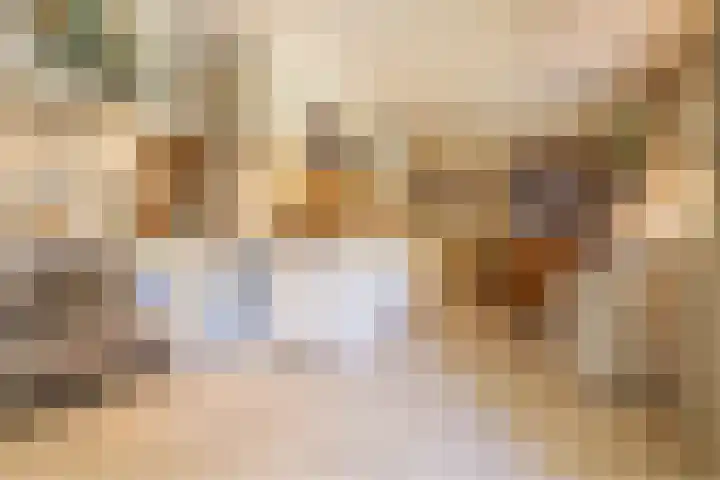 Eikenlaan 2 Apeldoorn thumbnail 17