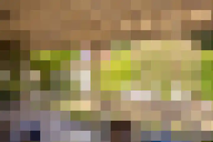 Eikenlaan 2 Apeldoorn thumbnail 19