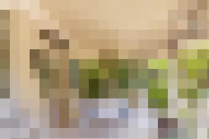 Eikenlaan 2 Apeldoorn thumbnail 20