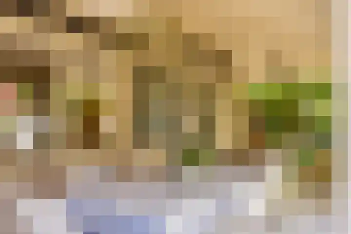 Eikenlaan 2 Apeldoorn thumbnail 21