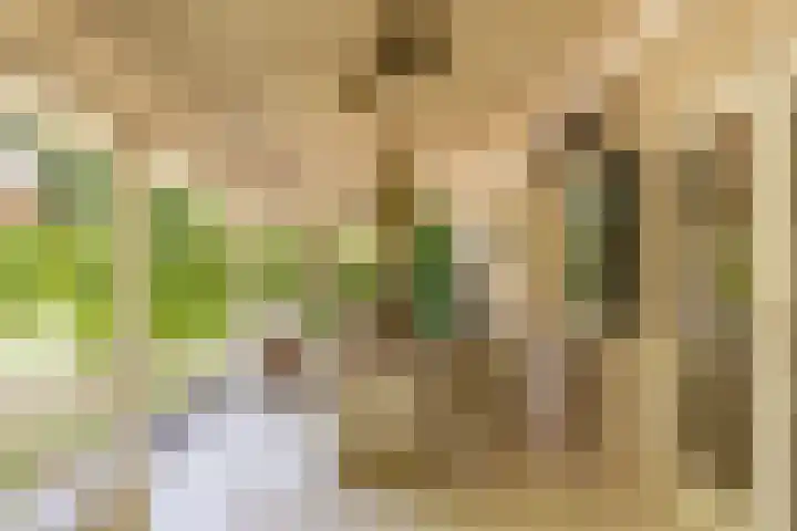 Eikenlaan 2 Apeldoorn thumbnail 22