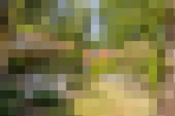 Eikenlaan 2 Apeldoorn thumbnail 23