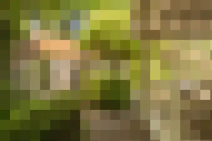 Eikenlaan 2 Apeldoorn thumbnail 24