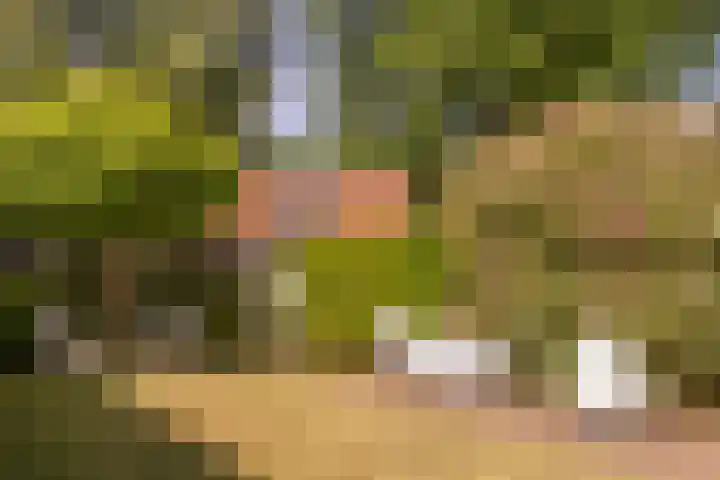 Eikenlaan 2 Apeldoorn thumbnail 25