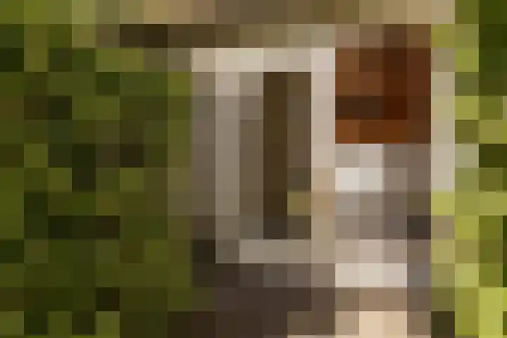 Eikenlaan 2 Apeldoorn thumbnail 27