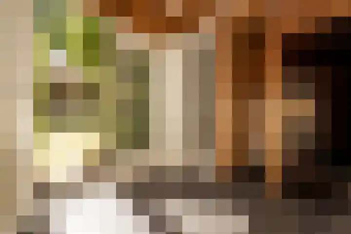 Eikenlaan 2 Apeldoorn thumbnail 28