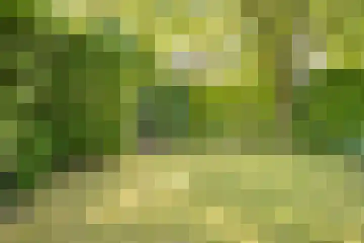 Eikenlaan 2 Apeldoorn thumbnail 30