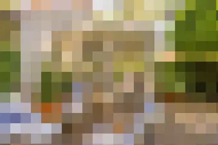 Eikenlaan 2 Apeldoorn thumbnail 31