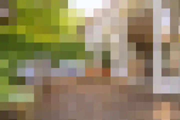 Eikenlaan 2 Apeldoorn thumbnail 32