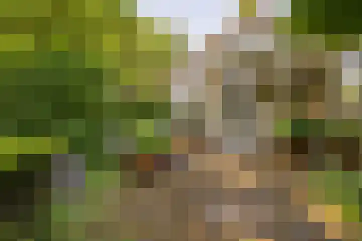 Eikenlaan 2 Apeldoorn thumbnail 33