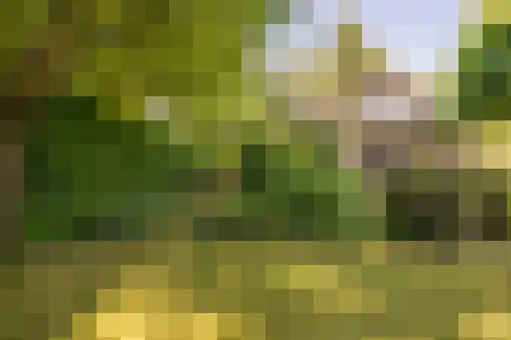 Eikenlaan 2 Apeldoorn thumbnail 34