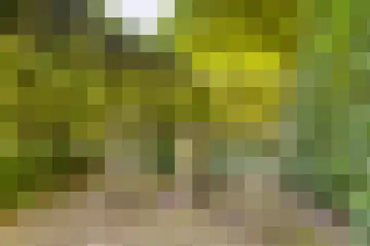 Eikenlaan 2 Apeldoorn thumbnail 35