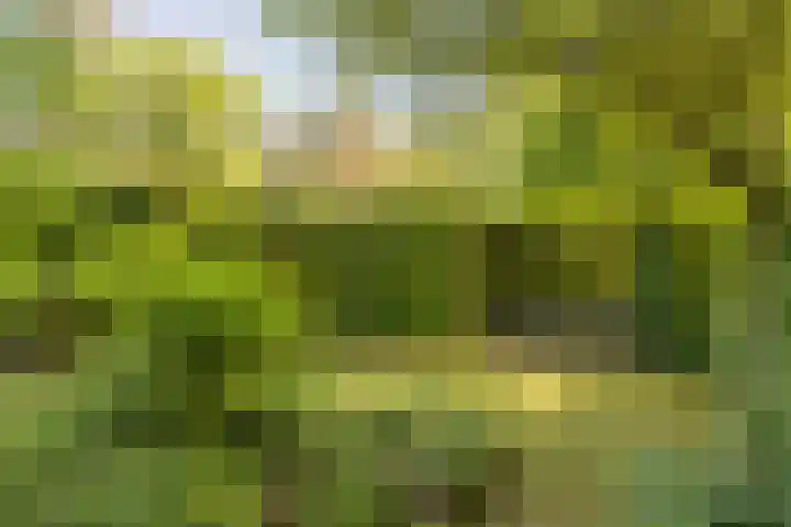 Eikenlaan 2 Apeldoorn thumbnail 37