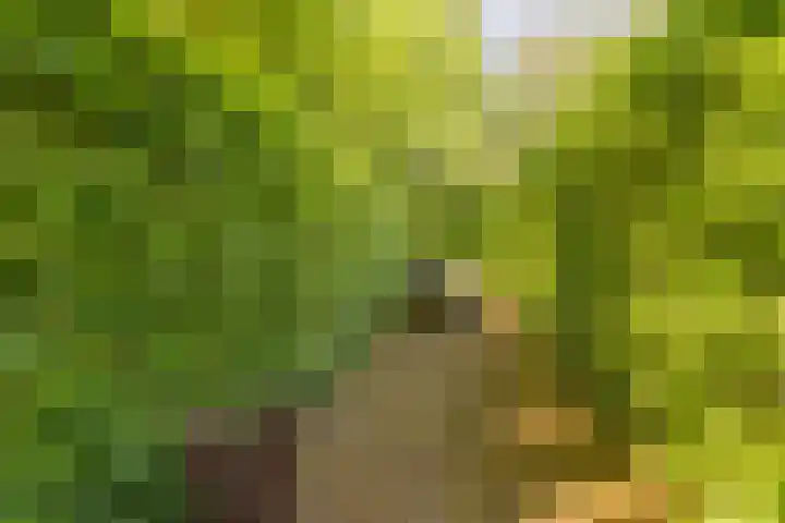 Eikenlaan 2 Apeldoorn thumbnail 38