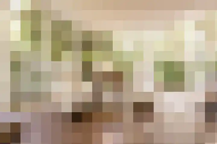 Eikenlaan 2 Apeldoorn thumbnail 4