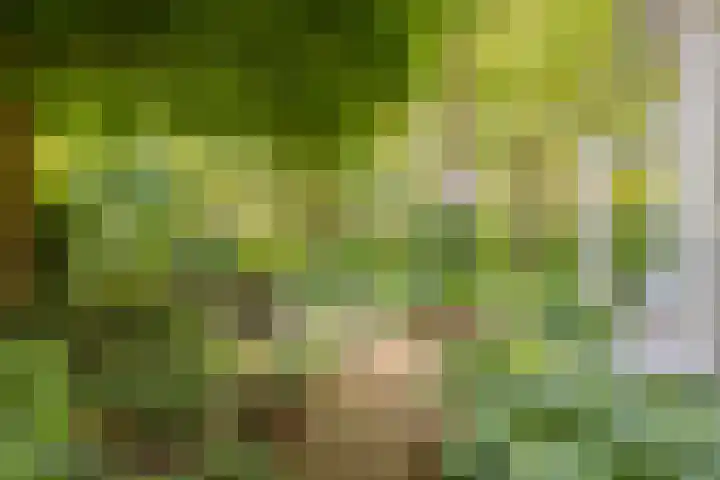 Eikenlaan 2 Apeldoorn thumbnail 40
