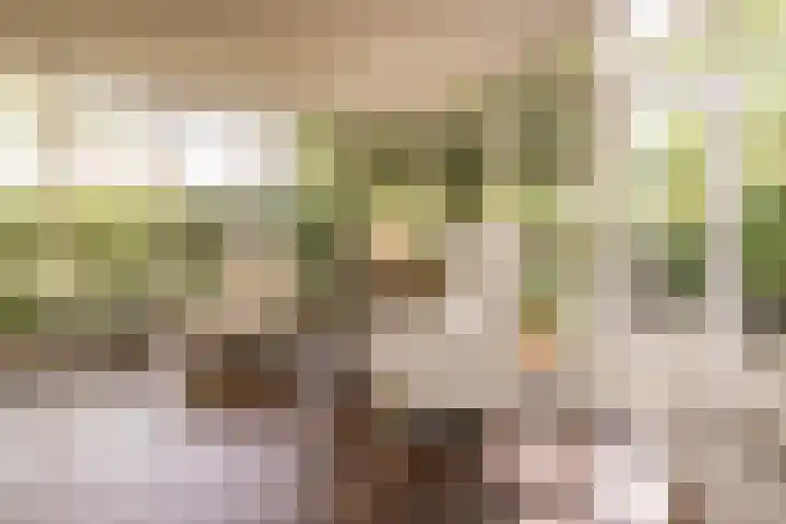 Eikenlaan 2 Apeldoorn thumbnail 5