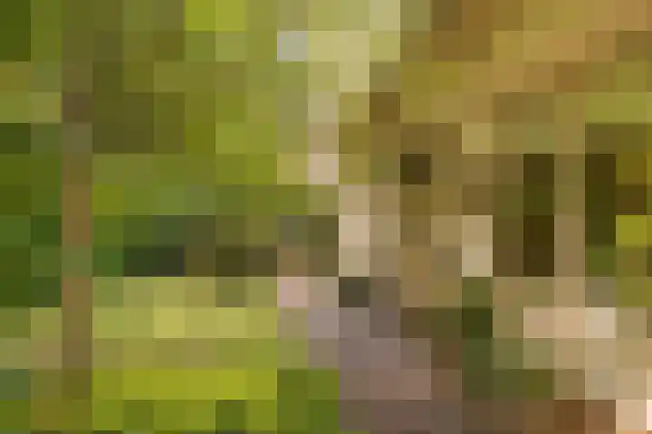 Eikenlaan 2 Apeldoorn thumbnail 55