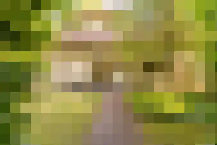 Eikenlaan 2 Apeldoorn thumbnail 57