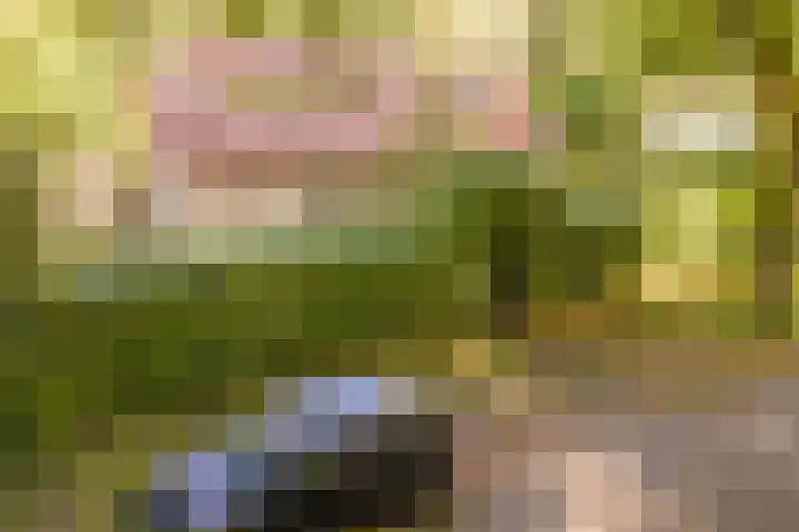 Eikenlaan 2 Apeldoorn thumbnail 58