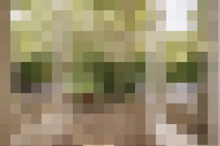 Eikenlaan 2 Apeldoorn thumbnail 6